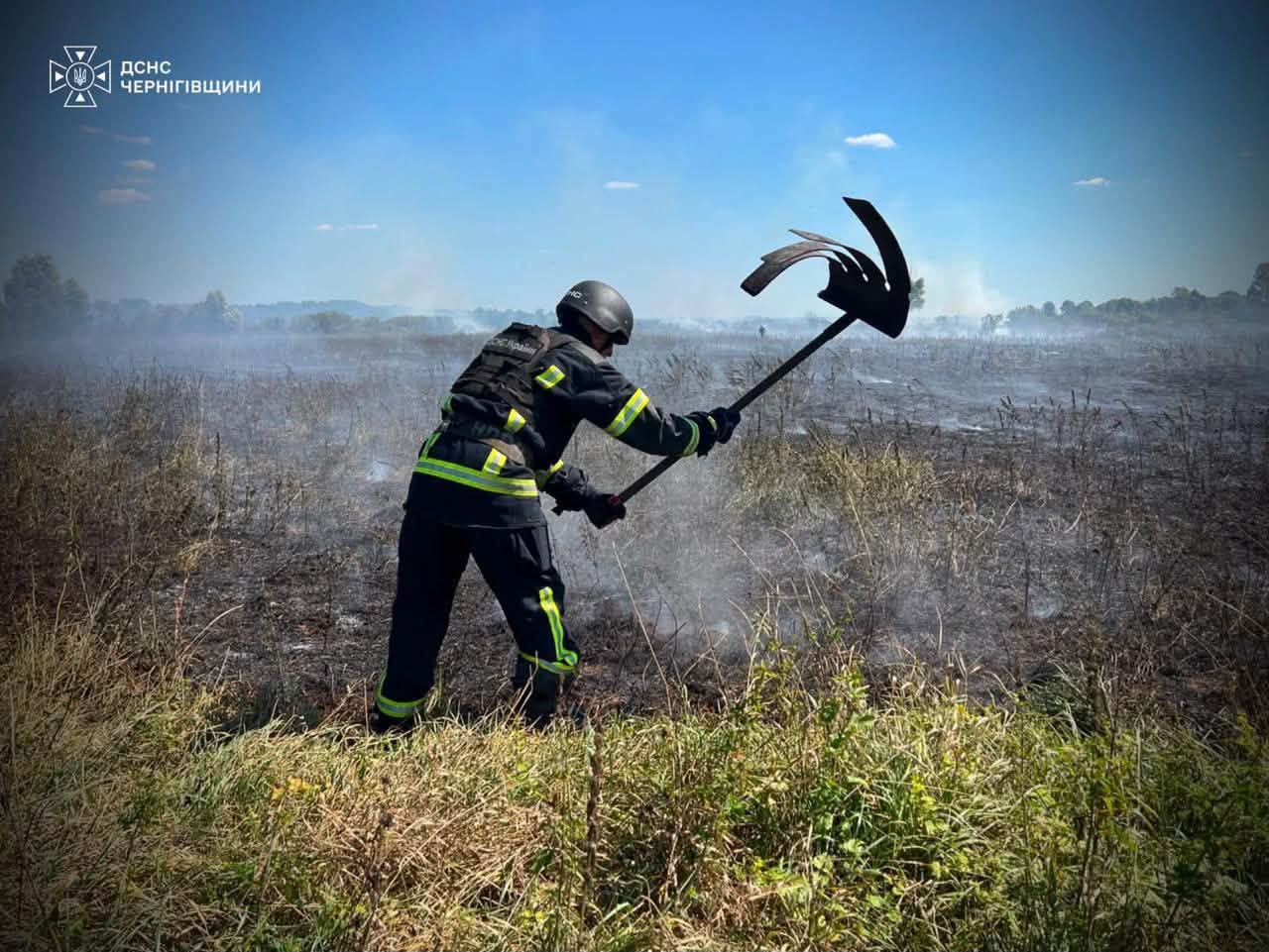 Фотографія рятувальник гасить вогонь на траві